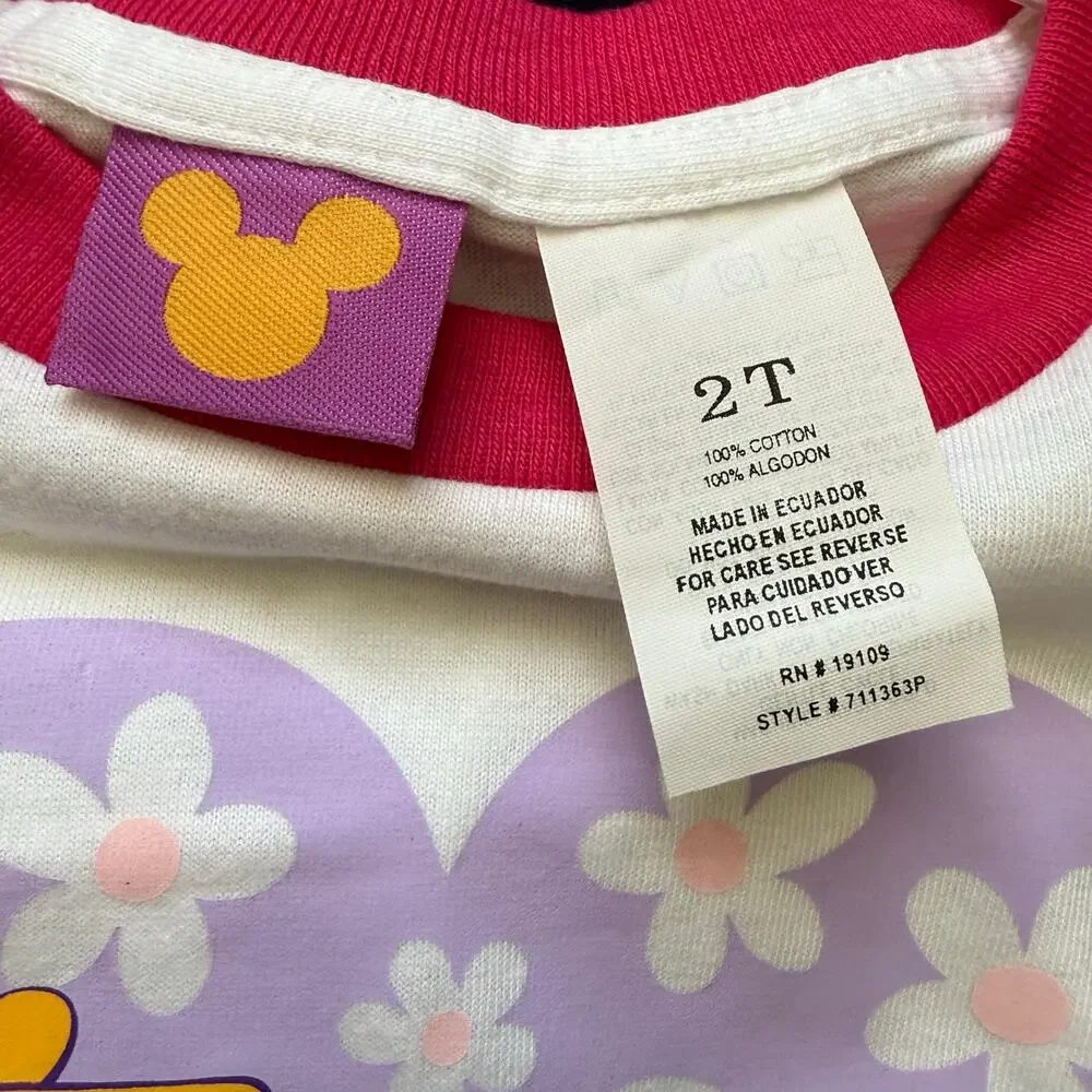 Disney Pooh this charming